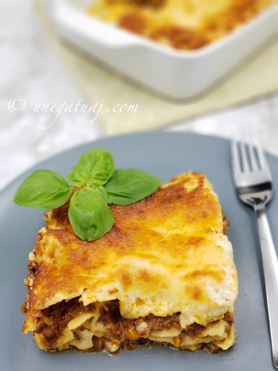 Lazanja Bolonjeze (me mish të grirë)