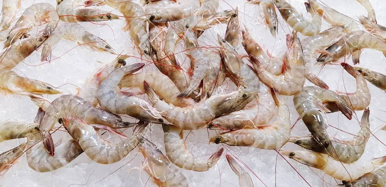 Karkaleca të freskët apo të ngrirë?