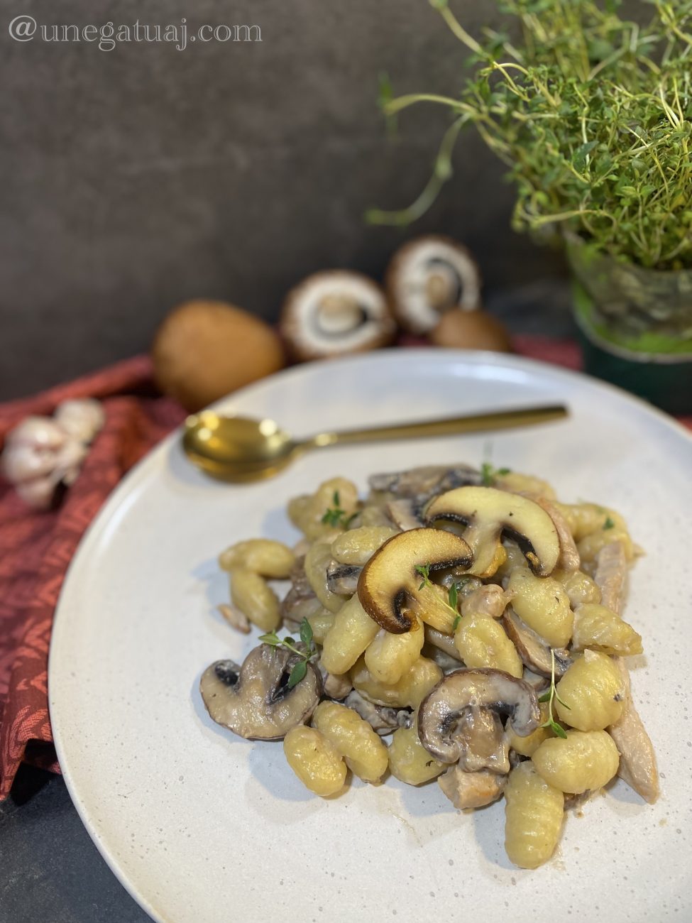 Njoki patatesh kremoze me fileto pule dhe kërpudha